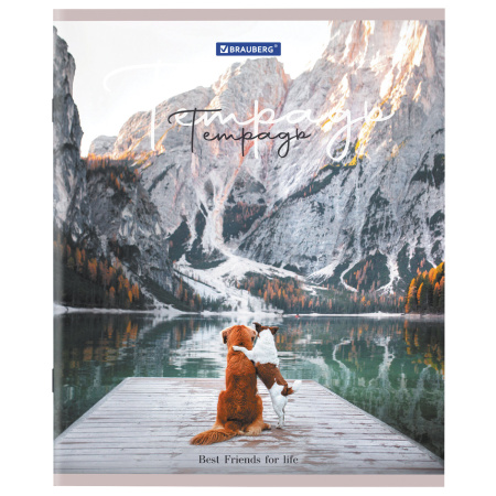 Тетрадь А5 48 л. BRAUBERG скоба, клетка, обложка картон, "Best Friends" (микс в спайке), 404360 - Тетради 40-48 листов