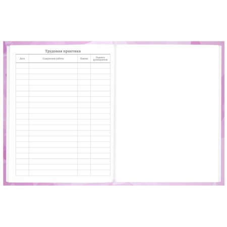 Дневник 5-11 класс 48 л., твердый, BRAUBERG, глянцевая ламинация, с подсказом, "Кактусы", 106628 - Дневники для старших классов