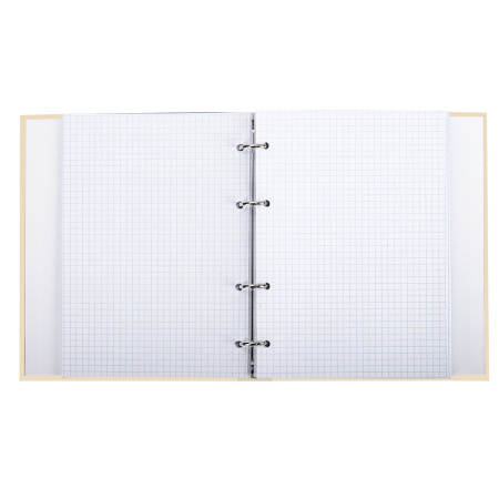 Тетрадь на кольцах А5 (175х215 мм), 240 листов, твердый картон, клетка, BRAUBERG, Miracle, 404093 - Тетради на кольцах и сменные блоки к ним