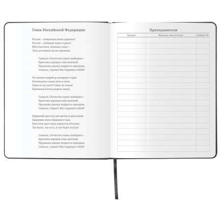 Дневник 1-11 класс 48л, кожзам (твердая), шелкография, BRAUBERG, "ЛЕВ ПОП-АРТ", 105991 - Дневники универсальные