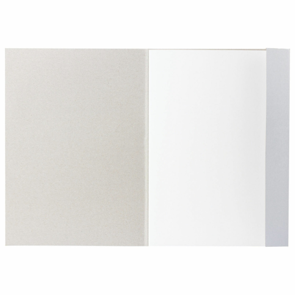 Папка для черчения А4, 210х297 мм, 24 л., 200 г/м2, ватман ГОЗНАК, BRAUBERG, 880609 - Альбомы и папки для черчения