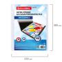 Папки-файлы перфорированные А4 BRAUBERG "EXTRA 900", КОМПЛЕКТ 50 шт., матовые, ПЛОТНЫЕ, 90 мкм, 229669 - Папки перфорированные