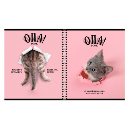 Тетрадь А5 96 л. ПЗБМ, гребень, клетка/линия, выборочный лак, перевёртыш, "Опа!" (5 видов), 028558 - Тетради более 60 листов