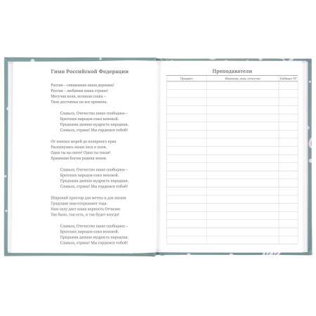 Дневник 5-11 класс 48 л., твердый, BRAUBERG, блестки, с подсказом, "Кактусы", 106420 - Дневники для старших классов