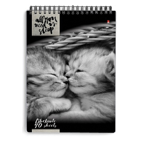 Блокнот А5, 40 л., гребень, ламинированный картон, клетка, Альт, "Кошки", (5 видов), 3-40-462 - Блокноты