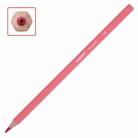 Карандаши цветные пастельные CARIOCA "Pastel", 12 цветов, шестигранные, заточенные, ПВХ чехол, 43034 - Карандаши цветные