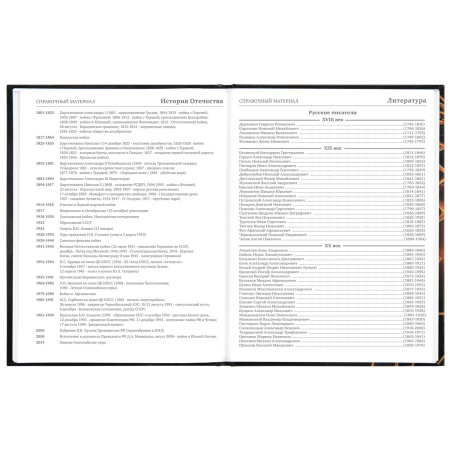 Дневник МП 1-11 класс 48 л., твердый, BRAUBERG, глянцевая ламинация, с подсказом, "Футбол", 106644 - Дневники универсальные