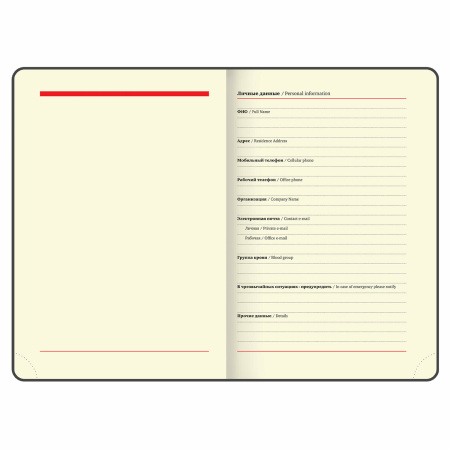 Ежедневник недатированный B6 (127х186 мм), BRAUBERG VISTA, под кожу, гибкий, срез фольга, 136 л., "Claude Monet", 112103 - Ежедневники с покрытием "под кожу и ткань"