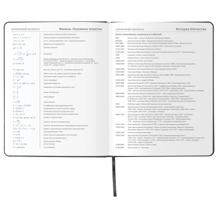 Дневник 1-11 класс 48л, кожзам (твердая), шелкография, BRAUBERG, "ЛЕВ ПОП-АРТ", 105991 - Дневники универсальные
