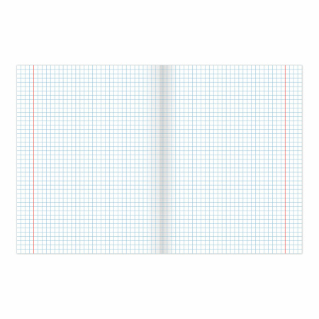 Тетрадь BRAUBERG "EXTRA" 24 л., клетка, плотная бумага 80 г/м2, обложка картон, 105710 - Тетради 12-24 листов