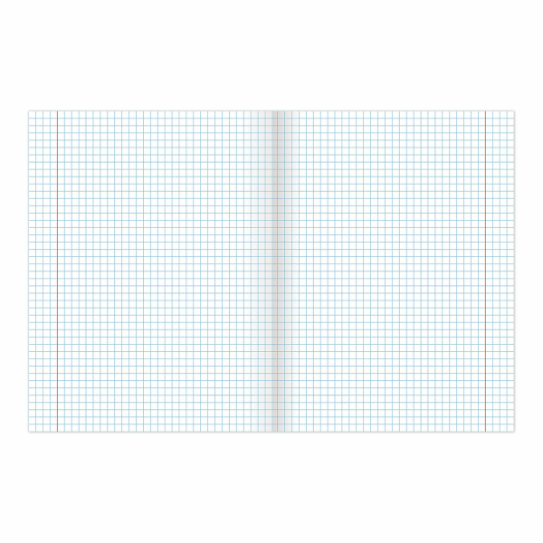 Тетрадь BRAUBERG "EXTRA" 24 л., клетка, плотная бумага 80 г/м2, обложка картон, 105710 - Тетради 12-24 листов