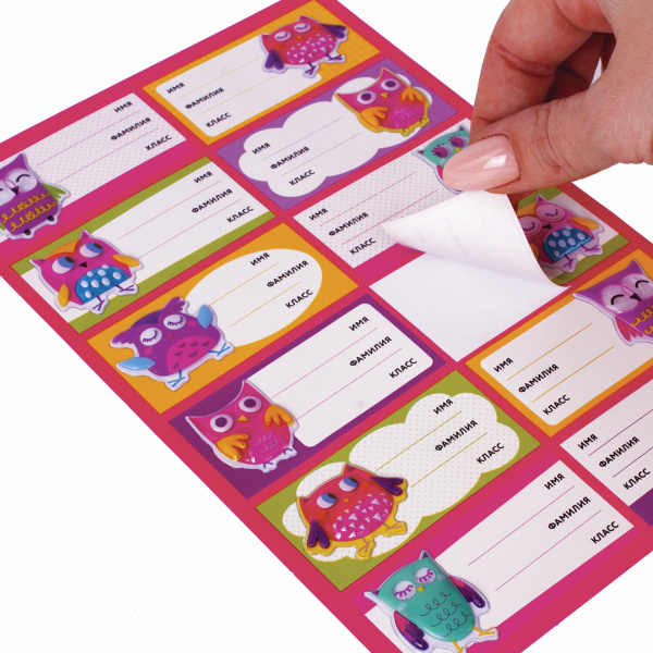 Наклейки для маркировки школьных принадлежностей "Совы", 12 штук, 14х21 см, ЮНЛАНДИЯ, 662710 - Наклейки