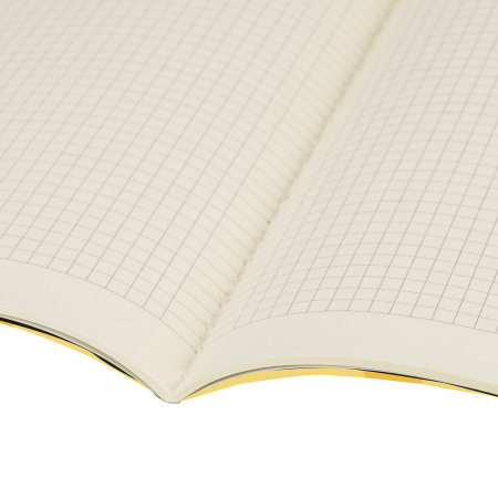 Тетрадь 60 л. в клетку обложка SoftTouch, бежевая бумага 70 г/м2, сшивка, В5 (179х250 мм), FOXY, BRAUBERG, 403815 - Тетради более 60 листов