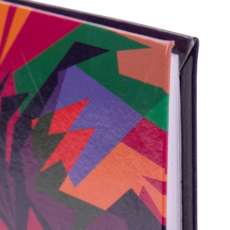 Дневник 5-11 класс 48 л., гибкая обложка, BRAUBERG, глянцевая ламинация, с подсказом, "Lion", 106386 - Дневники для старших классов