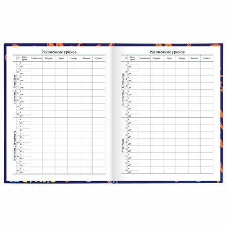 Дневник 1-11 класс 40 л., твердый, BRAUBERG, глянцевая ламинация, "Skateboarder", 106617 - Дневники универсальные