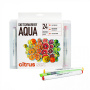 Набор акварельных маркеров SKETCHMARKER "Aqua Pro" Citrus Set 24 цв - Аквамаркеры