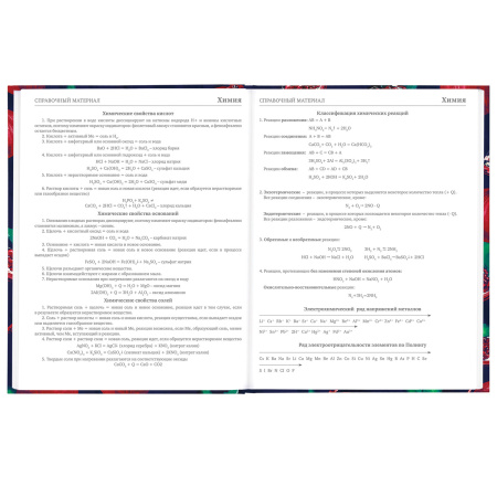 Дневник 5-11 класс 48 л., твердый, BRAUBERG, глянцевая ламинация, с подсказом, "Гранаты", 106621 - Дневники для старших классов
