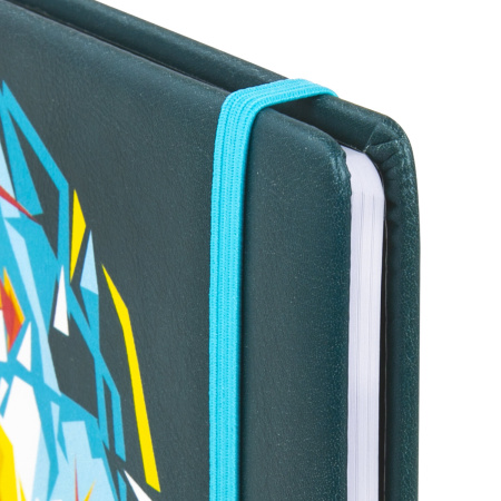 Дневник 1-11 класс 48 л., кожзам (твердая), печать, резинка, конверт, BRAUBERG, "Bright Lion", 106577 - Дневники универсальные