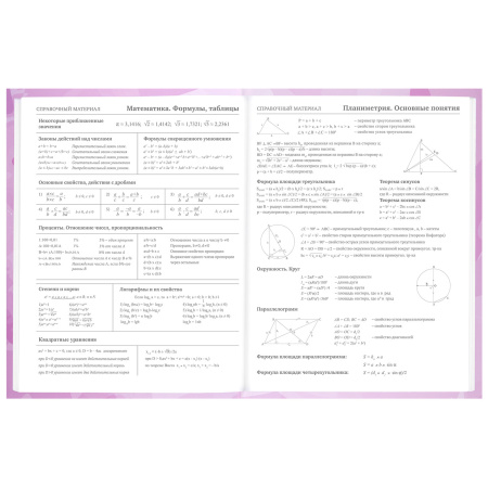 Дневник 5-11 класс 48 л., твердый, BRAUBERG, глянцевая ламинация, с подсказом, "Кактусы", 106628 - Дневники для старших классов