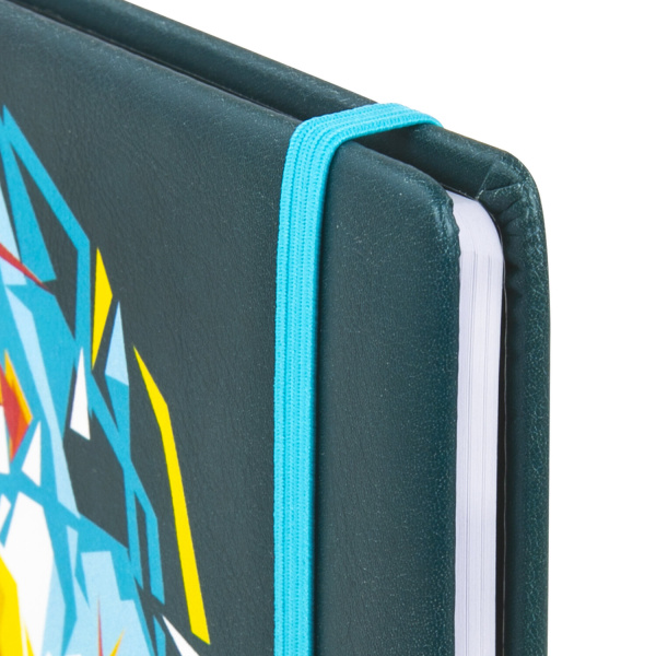 Дневник 1-11 класс 48 л., кожзам (твердая), печать, резинка, конверт, BRAUBERG, "Bright Lion", 106577 - Дневники универсальные