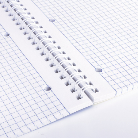 Тетрадь А4, 96 л., BRAUBERG, гребень, клетка, обложка картон, 4 СЕЗОНА, 403071 - Тетради формата А4