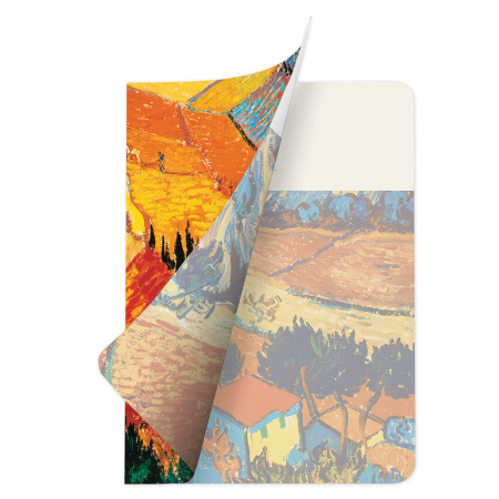 Тетрадь 60 л. в клетку обложка SoftTouch, бежевая бумага 70 г/м2, сшивка, В5 (179х250 мм), ВАН ГОГ, BRAUBERG, 1403818 - Тетради более 60 листов