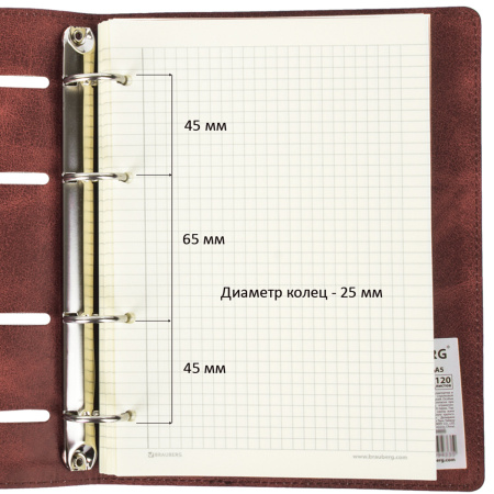 Тетрадь на кольцах А5 (180х220 мм), 120 листов, под кожу, клетка, BRAUBERG "Main", коричневый, 401710 - Тетради на кольцах и сменные блоки к ним