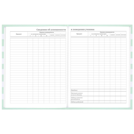 Дневник 1-11 класс 48 л., твердый, BRAUBERG, блестки, с подсказом, "Котик", 106606 - Дневники для младших классов