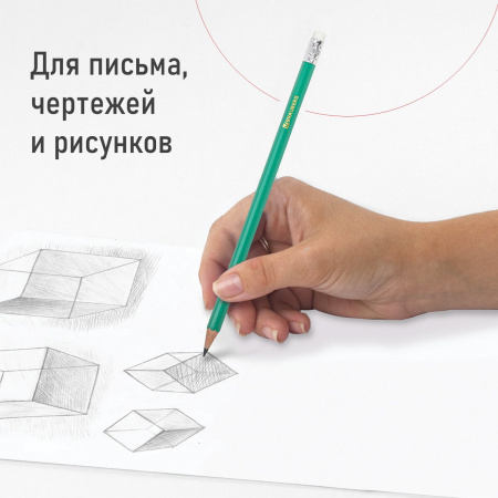 Карандаши чернографитные BRAUBERG НАБОР 12 шт., НВ, с резинкой, пластиковый зеленый корпус, 180678 - Карандаши чернографитные