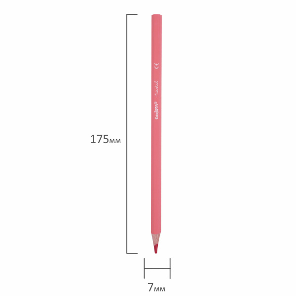 Карандаши цветные пастельные CARIOCA "Pastel", 12 цветов, шестигранные, заточенные, ПВХ чехол, 43034 - Карандаши цветные