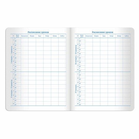 Дневник 1-11 класс 48 л., кожзам (твердая с поролоном), тиснение аппликация, BRAUBERG, "СЛАДОСТИ", 105487 - Дневники универсальные