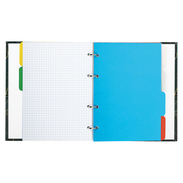 Тетрадь на кольцах А5 (175х215 мм), 240 листов, твердый картон, клетка, с разделителями, BRAUBERG, Листья, 404099 - Тетради на кольцах и сменные блоки к ним