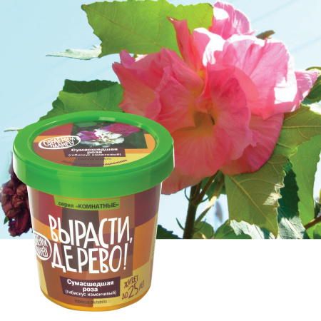 Набор для выращивания растений ВЫРАСТИ ДЕРЕВО! "Сумасшедшая роза" (банка, грунт, семена), zk-047 - Наборы для выращивания растений