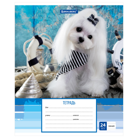 Тетрадь 24 л. BRAUBERG линия, обложка картон, "ЗАБАВНЫЕ ЩЕНКИ", 403585 - Тетради 12-24 листов