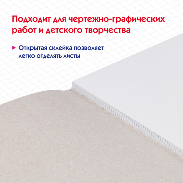 Альбом для черчения А4 40 л., склейка, 160 г/м2, ПИФАГОР, 104808 - Альбомы и папки для черчения