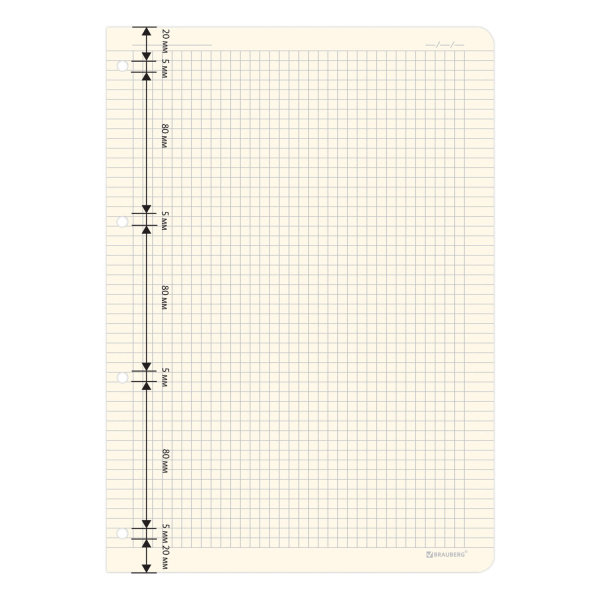 Сменный блок для тетради на кольцах БОЛЬШОЙ ФОРМАТ А4 120 л., BRAUBERG, ПОВЫШЕННОЙ ПЛОТНОСТИ, кремовый, 404517 - Тетради на кольцах и сменные блоки к ним