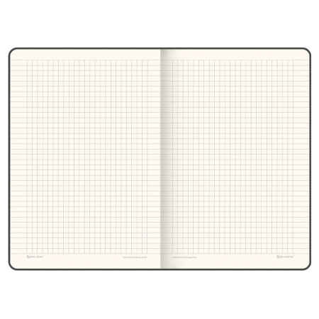 Блокнот А5 (148х218 мм), BRAUBERG "Income", 128 л., гладкий кожзаменитель, клетка, красный, 125209 - Бизнес-блокноты и бизнес-тетради