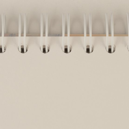 Скетчбук для акварели "Ладога" на спирали, "Эрмитаж", 200 г/м2, 15х15 см, 100 % целлюлоза, 40 листов, среднее зерно - Альбомы и бумага для акварели и масла