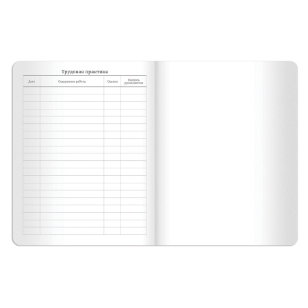 Дневник 1-11 класс 48 л., кожзам (гибкая), термотиснение, BRAUBERG "LATTE", зеленый, 105436 - Дневники универсальные