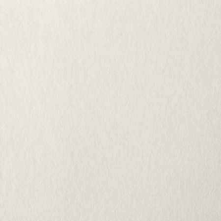 Бумага для пастели А4, 20 л., бумага слоновая кость ГОЗНАК 200 г/м2, тиснение Холст, BRAUBERG ART, 126307 - Альбомы и бумага для пастели