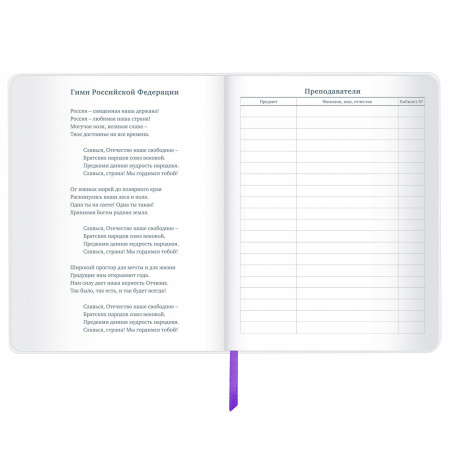 Дневник 1-11 класс 48 л., кожзам (гибкая), термотиснение, фольга, BRAUBERG, "Panda", 106171 - Дневники универсальные