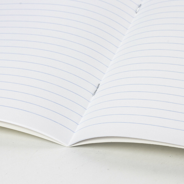 Тетрадь ЗЕЛЁНАЯ обложка 24 л., линия с полями, офсет, "ПЗБМ", 19841 - Тетради 12-24 листов