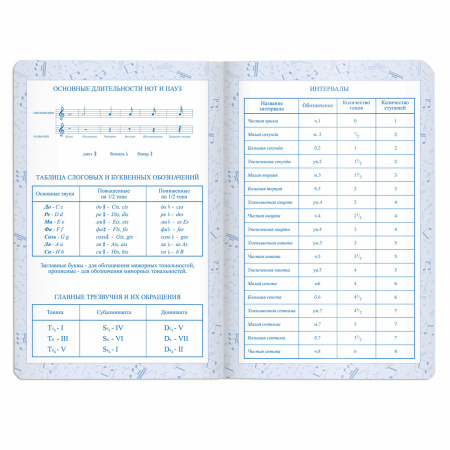 Дневник для музыкальной школы 140х210 мм, 48 л., обложка кожзам гибкая, BRAUBERG, справочный материал, синий, 105498 - Дневники для музыкальной школы