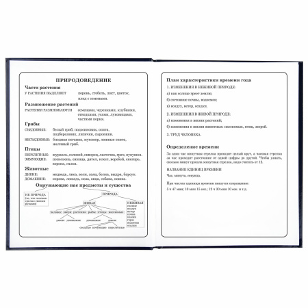 Дневник 1-4 класс 48 л., твердый, ЮНЛАНДИЯ, глянцевая ламинация, с подсказом, "Котики", 106352 - Дневники для младших классов