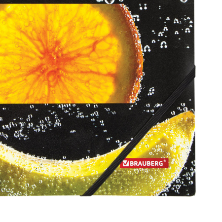 Папка на резинках BRAUBERG "FRESH ZONE", А4, цветная печать, до 300 листов, 500 мкм, 228036 - Папки на резинках пластиковые