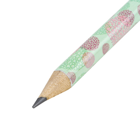 Карандаш чернографитный BRAUBERG "PRIMAVERA", 1 шт., HB, корпус ассорти, 181765 - Карандаши чернографитные