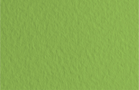 Бумага для пастели TIZIANO 160г/кв.м 500х650мм цв.№14 зеленый мох