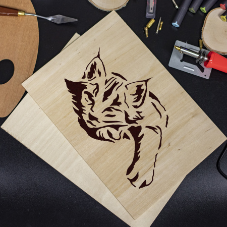 Заготовки деревянные для выжигания, выпиливания, росписи, А4, набор 2 штуки, ОСТРОВ СОКРОВИЩ, 150649 - Наборы для выжигания