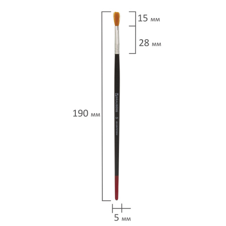 Кисть BRAUBERG, синтетика, плоская, № 5, 200213 - Кисти для рисования