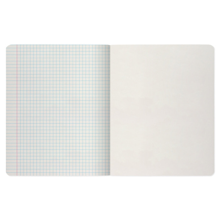 Тетрадь А5 96 л. АЛЬТ скоба, клетка, гибридный лак, "Fresh & Fruity" (5 видов), 7-96-1159 - Тетради более 60 листов